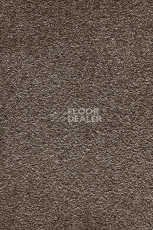 Ковролин AW Masquerade Moana 42 фото 1 | FLOORDEALER